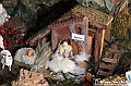 VBS_6835 - Presepe Meccanico di Nonna Rosi 2025